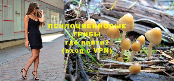 твердый Заволжье