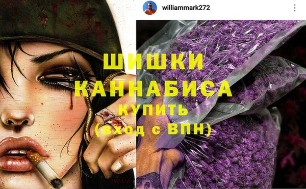 ПСИЛОЦИБИНОВЫЕ ГРИБЫ Заволжск