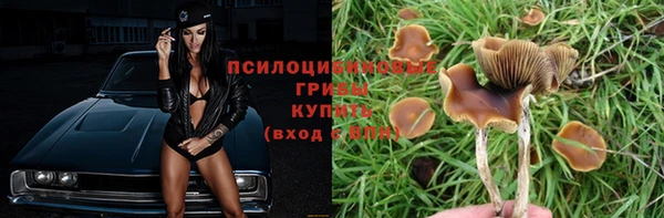 спайс Заводоуковск