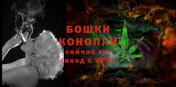 ПСИЛОЦИБИНОВЫЕ ГРИБЫ Заволжск
